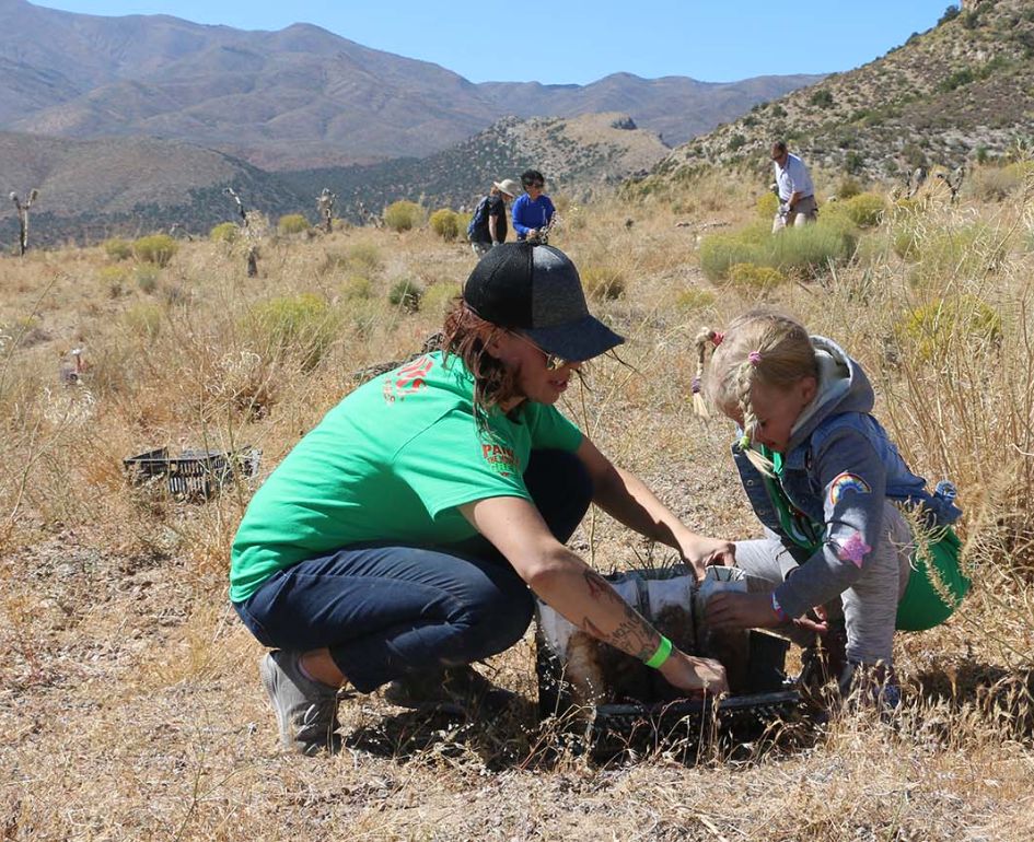 Las Vegas Non-Profit Land Conservation Efforts