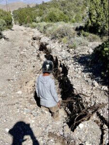 an adult staff person stands in a crevice washed out of a dirt road that winds up a hill of large shrubs and small pines